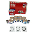 DNJ Pistons & Rings for Ford Modular 4.6/5.4 2001-2005