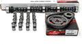 Enginetech Timing Chain Kit for Ford Windsor 302/351W 1968-2001
