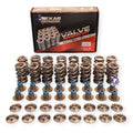 TSP Valve Springs for LS Gen III 4.8/5.3/5.7/6.0 1997-2007