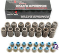 BTR Valve Springs for LS Gen III 4.8/5.3/5.7/6.0 1997-2007