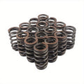 GM Valve Springs for LS Gen IV 5.3/6.0/6.2 2007-2017