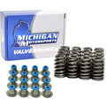 Michigan Motorsports Valve Springs for LS Gen IV 5.3/6.0/6.2 2007-2017