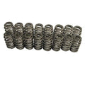 GM Valve Springs for LS Gen IV 5.3/6.0/6.2 2007-2017