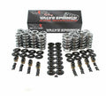 Brian Tooley Racing Valve Springs for LS Gen IV 5.3/6.0/6.2 2007-2017