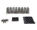 BTR Valve Springs for LT Gen V 5.3/6.2 2014-2025