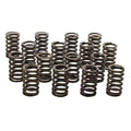 Chevrolet Performance Valve Springs for Small Block Chevy 350 1967-2002