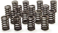 GM Valve Springs for Small Block Chevy 350 1967-2002