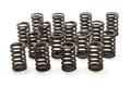 GM Performance Valve Springs for Small Block Chevy 350 1967-2002