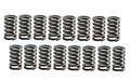 Enginetech Valve Springs for Small Block Chevy 350 1996-2002